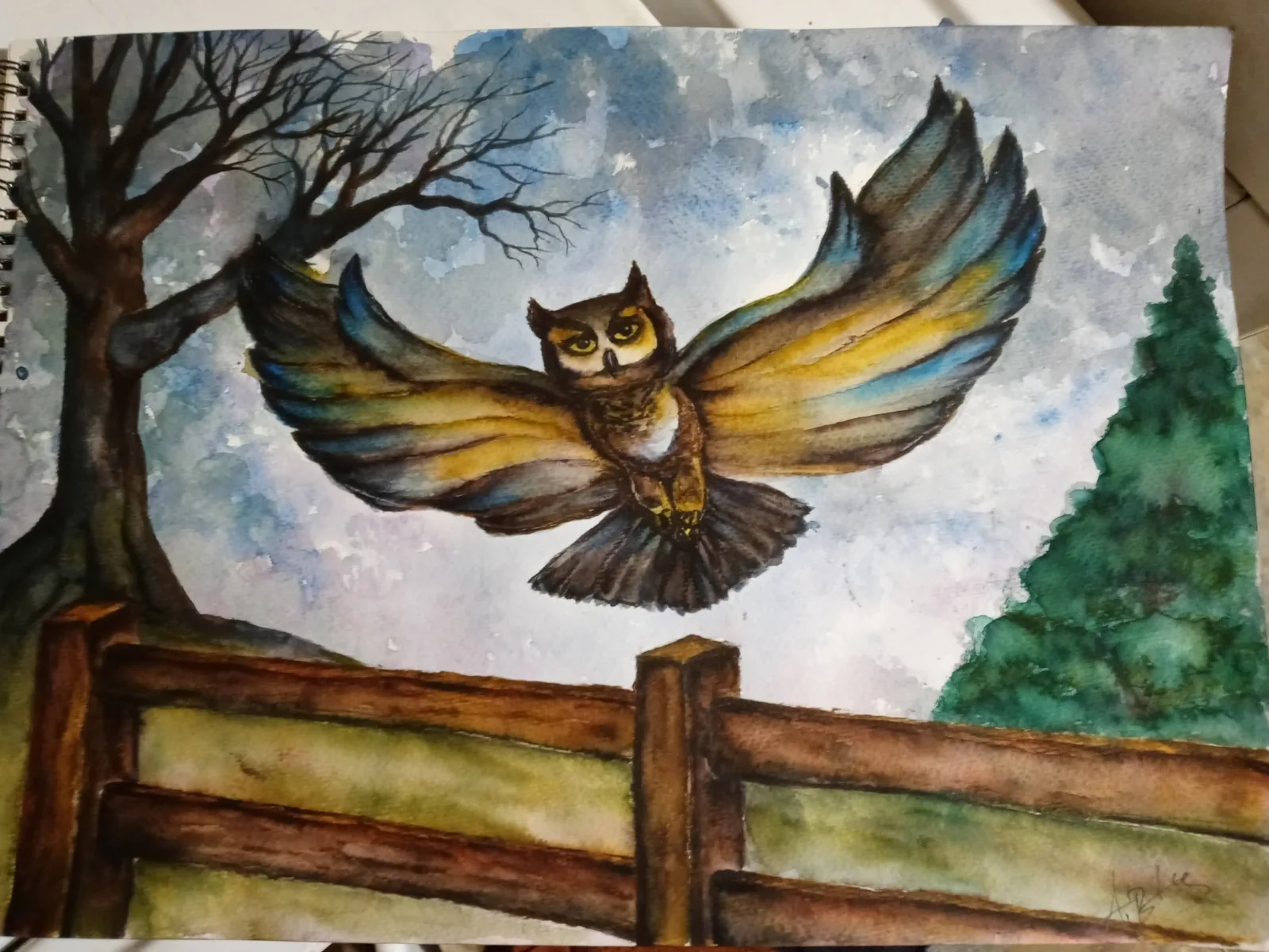 Watercolour of a great horned owl in flight with wings fully spread, gold and teal barring across the feathers, above a split-rail fence with bare trees and a pine.